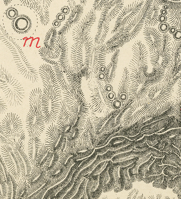 Details aus Copernicus